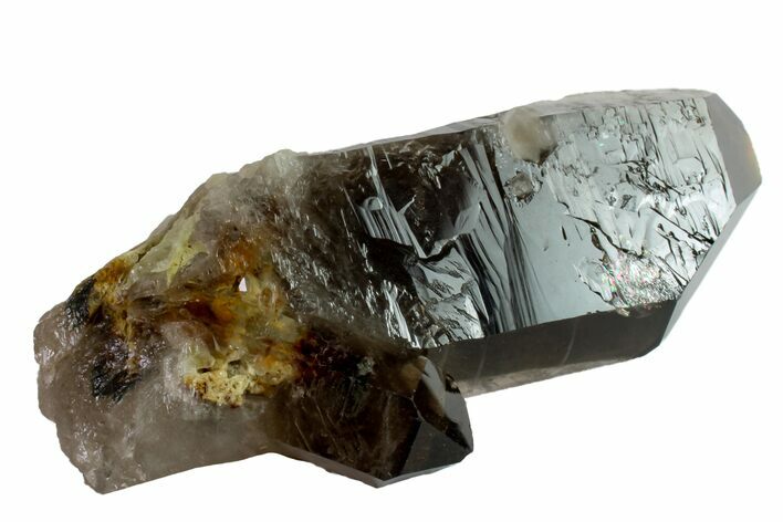 Dark Smoky Quartz Crystal - Brazil #159644